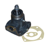 Water Pump with Gasket | Lamborghini DL Series MWM KD 12