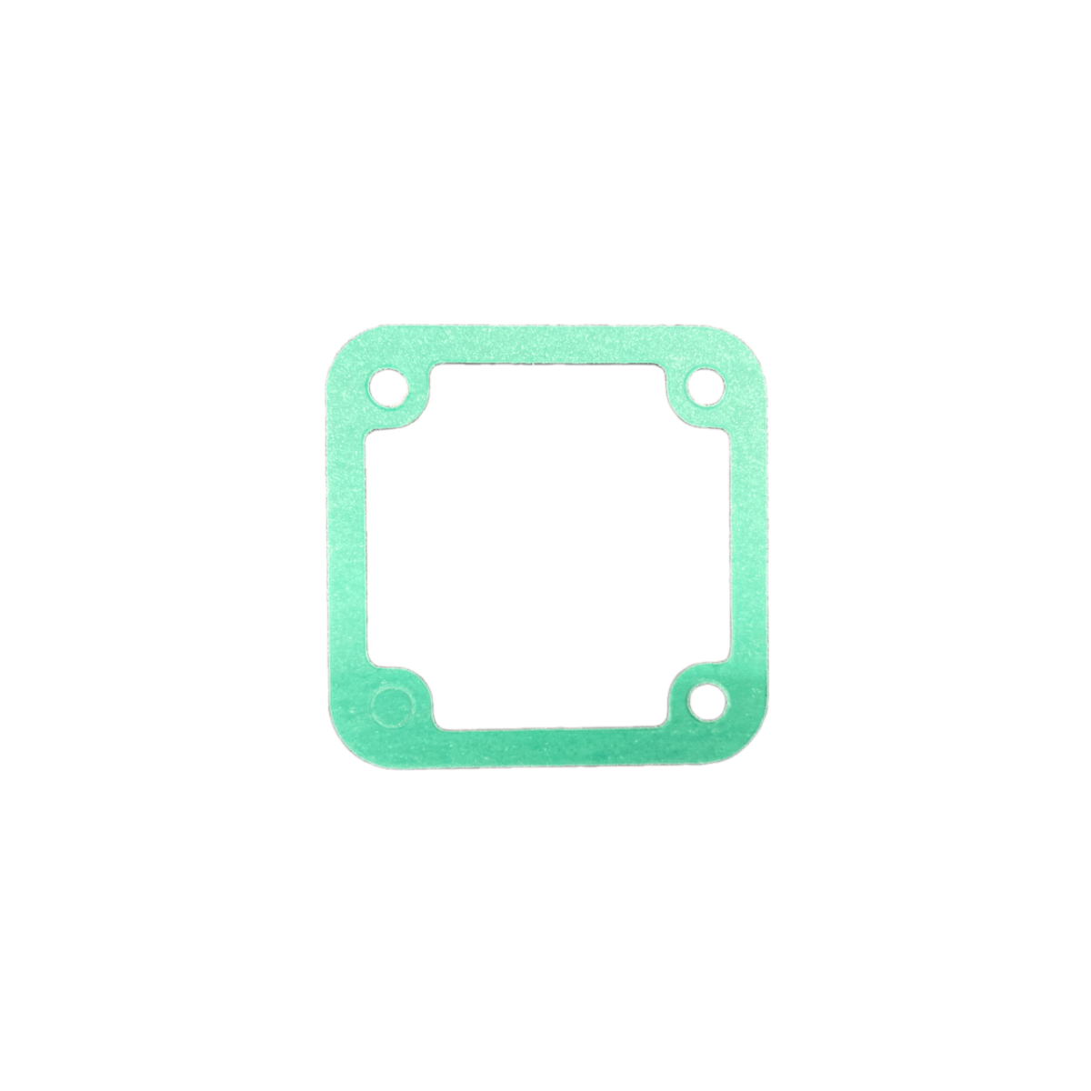 Dichtung Einspritzpumpe Dieselpumpe | DL 25 / DL 30 / DL 30 Super