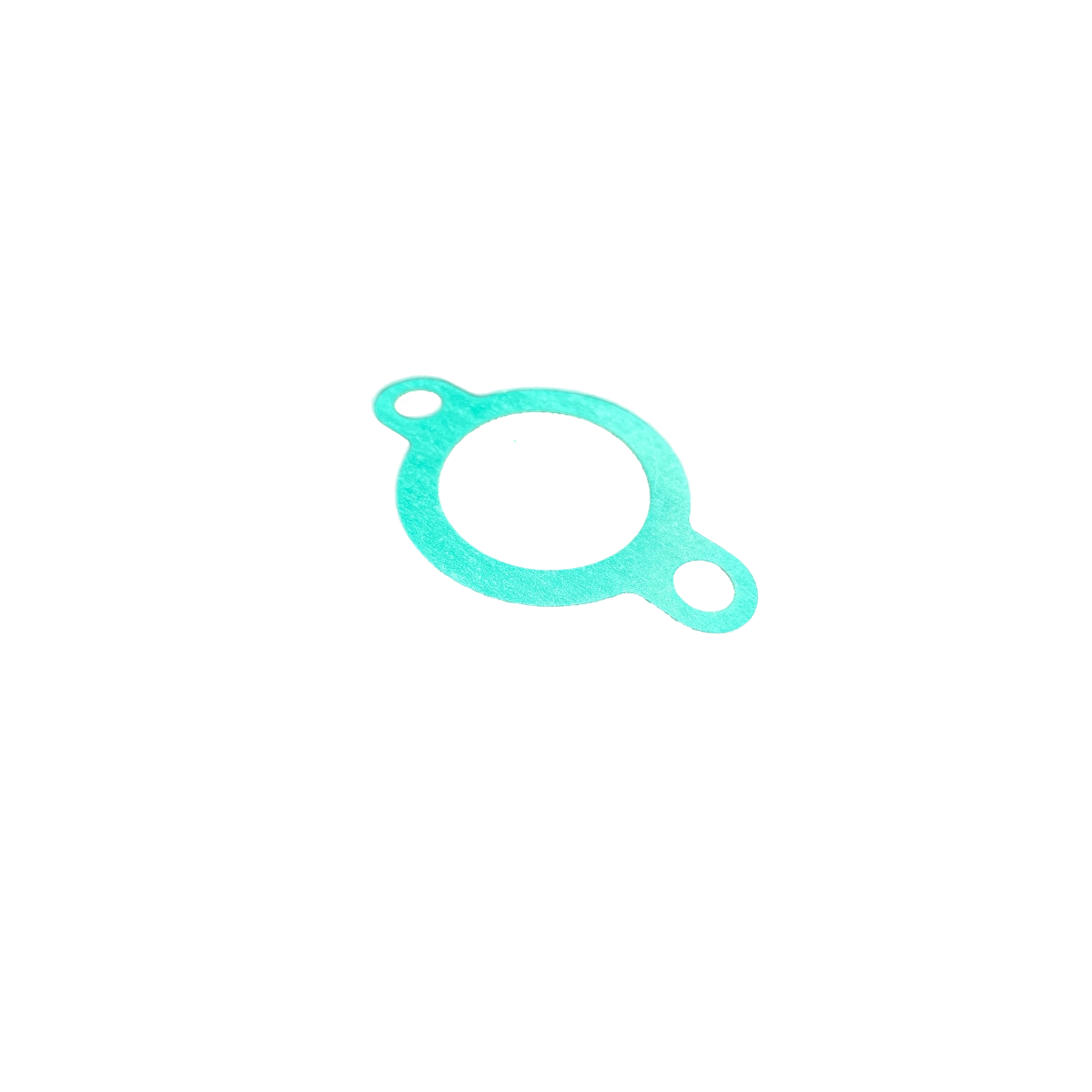 Wheel Hub Gasket for Lamborghini 2R Tractor | 0.2 mm