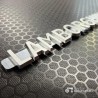 Lamborghini Front Logo DL-Series High-Gloss Polished – Authentic Restoration