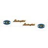 Lamborghini 2R Side Decals Left & Right – authentic replica for vintage tractors